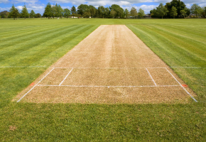 Cricket Pitch (Natural)